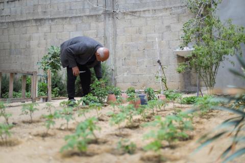 الحقوق محفوظة لمؤسسة الإغاثة الزراعية