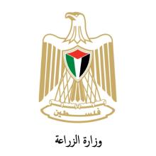 أهم التدخلات الحكومية لإغاثة أبناء شعبنا في قطاع غزة خلال الأيام الستة الماضية